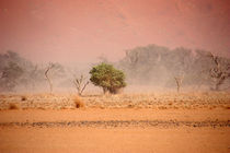 NAMIBIA ... through the storm III von meleah