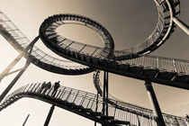 Tiger and Turtle in Duisburg (7-232832) B+W by Franz Walter Photoart