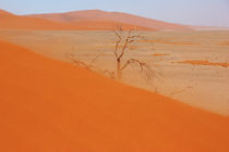 NAMIBIA ... Namib Desert Sandstorm II by meleah