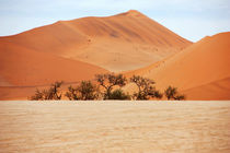 NAMIBIA ... Namib Desert  Dunes I by meleah