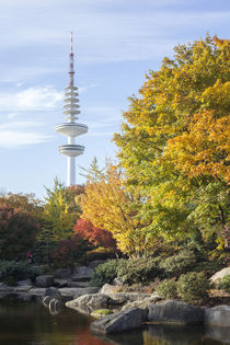 Japanischer Garten mit Fernsehturm im Herbst, Hamburg by Torsten Krüger