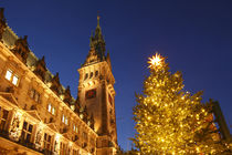 Hamburger Rathaus mit Weihnachtsbaum, Hamburg by Torsten Krüger