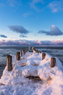 Buhne an der Ostseeküste bei Zingst im Winter by Rico Ködder