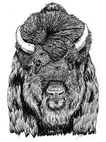Bison by Condor Artworks