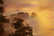 Morgen an den Gansfelsen by sternbild