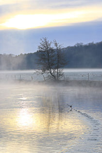 Nebel und Sonnenlicht von Bernhard Kaiser