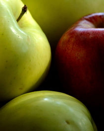 Apples by Tim Seward