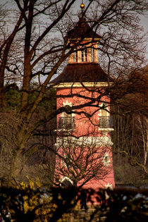 Through the Trees - Leuchtturm von Moritzburg von Chris Berger