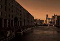 Albert Dock And the Pier Head by John Wain
