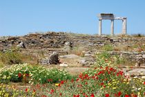 Ancient marble ruins and wild flowers von Yuri Hope