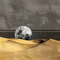 MOON DESERT by Pia Schneider