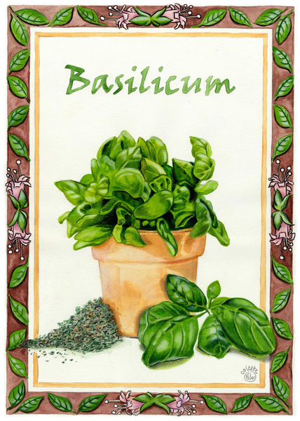 Basilicum-dot-keukenposterwitterand