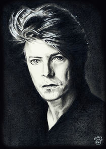 BOWIE - Ode to a musical hero - Ode to the artist by Colette van der Wal