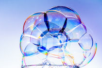 bubbles on white von Tim Seward