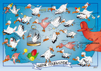 Kleine Vogelkunde by Roland H. Palm