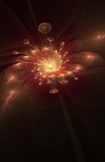 Night Bloom von Svetlana Nikolova