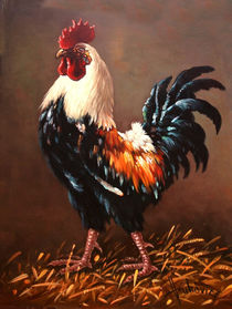 Rooster - the master of the yard by Dusan Vukovic