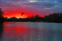 Sunset at Whitlingham Lake, Norwich, U.K von Vincent J. Newman