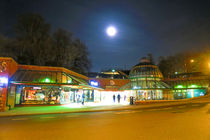 Full Moon Above Norwich Castle Mall by Vincent J. Newman