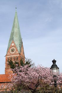Zierkirsche trifft Lünebuger St. Johannis - Kirche by Anja  Bagunk