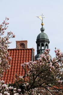Magnolienblüte trifft Rathausspitze von Anja  Bagunk