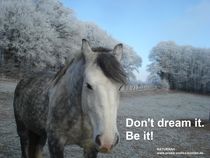 Don't dream it, be it! von Andrea Köhler