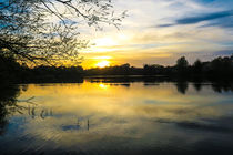 Sunset Over U.E.A Lake, Norwich, England von Vincent J. Newman