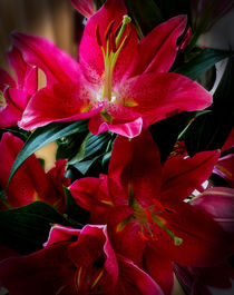 Lilies by David Bishop
