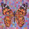 Butterfly-painted-lady-01-afl