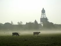 Kühe vor dem Oedter Wasserturm by Frank  Kimpfel