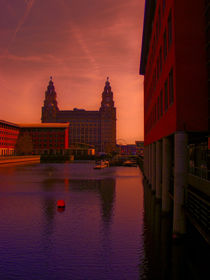 Liver Building from the Princes Dock von John Wain