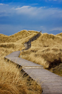 Dünenpfad - Insel Amrum von AD DESIGN Photo + PhotoArt