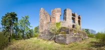 Ruine Ramburg (2) by Erhard Hess