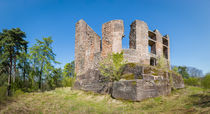 Ruine Ramburg (1) by Erhard Hess