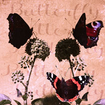 Butterfly - Treffpunkt Efeu by Chris Berger
