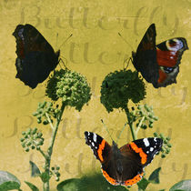 Meeting point Butterfly - Schmetterlingstreff by Chris Berger