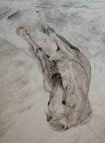 Pferd in voller Bewegung by Helmut Hackl