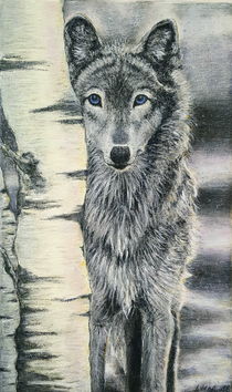 Wolf / Winterwolf by (Anna) Kirsten Helmke