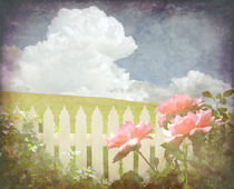 Welcome Spring Rose by Karen Black