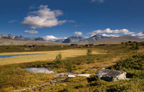Rondane national park with mountains and swamp by Bastian Linder