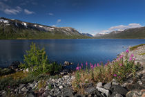 Deep blue lake Breiddalsvatnet in Norway von Bastian Linder