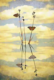 Butterfly Memories by Karen Black