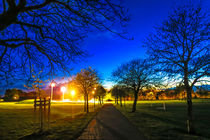 Eaton Park at Sunset, Norwich, U.K by Vincent J. Newman