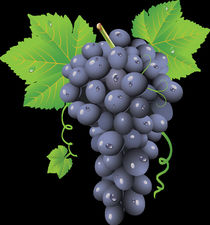 Grapes fruits von Francis Kiarie