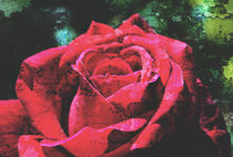 Vintage Rose von Karen Black