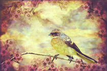 Little Vintage Songbird by Karen Black