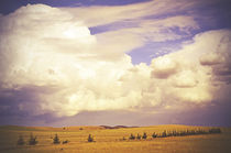 Countryside Cloudscape von Karen Black