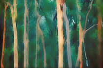 Misty Australian Forest by Karen Black