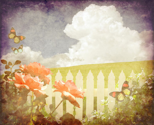 Vintage-rose-picket-fence-background-butterflies-a18