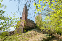 Ruine Ramburg 48 von Erhard Hess